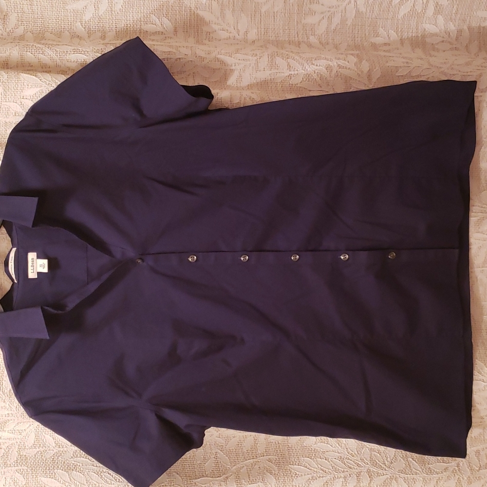 LL Bean, XL, Wrinkle free blouse